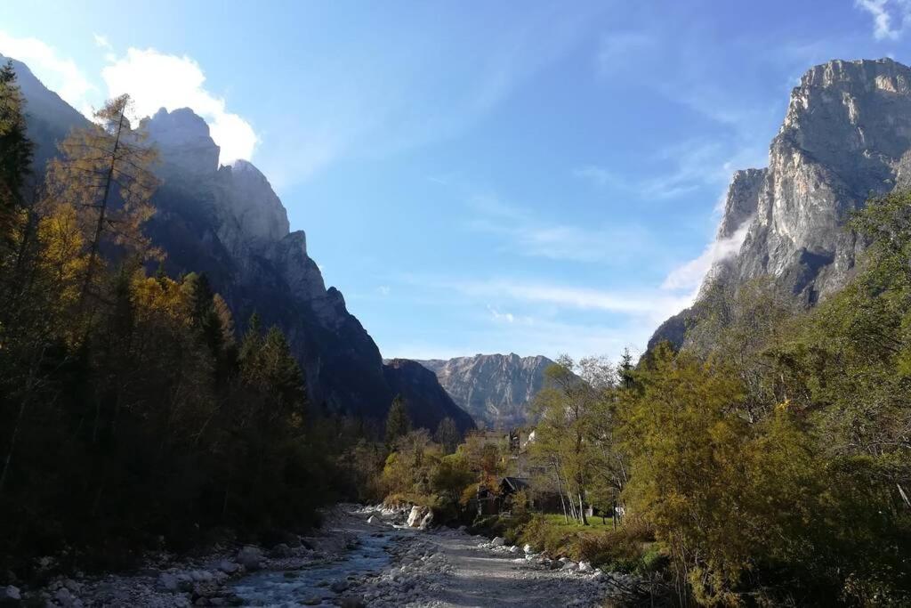 Sweet Dolomites, sauna e jacuzzi Agordo Buitenkant foto